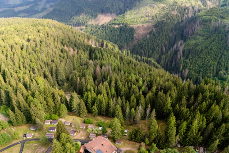 Hotel Fiemme Easy Camping Village