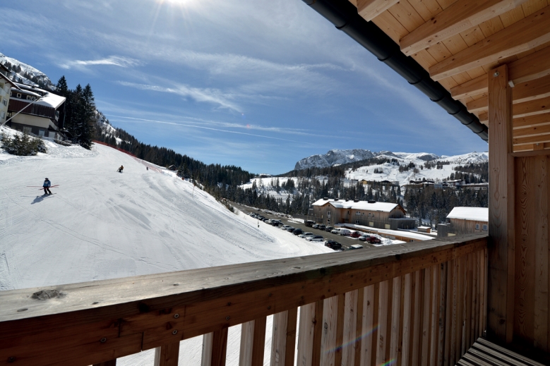 Hotel Almhotel Kärnten