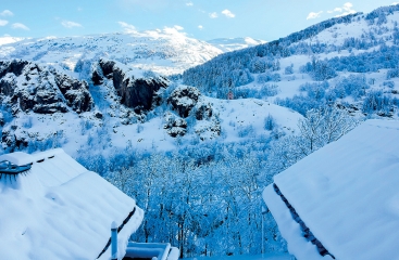 Chalet Mas des Neiges ****