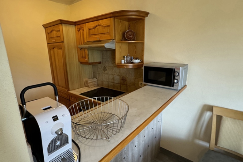 Hotel Apartmánový dům Carinthia dovolenka