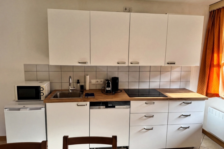 Hotel Apartmánový dům Carinthia dovolenka