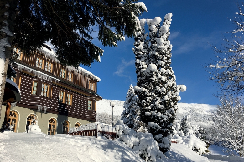 Hotel Alpský Hotel