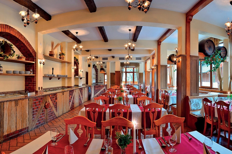 Hotel Wellness rezydencja Družba - HB (śniadanie i obiadokolacja) i wellness