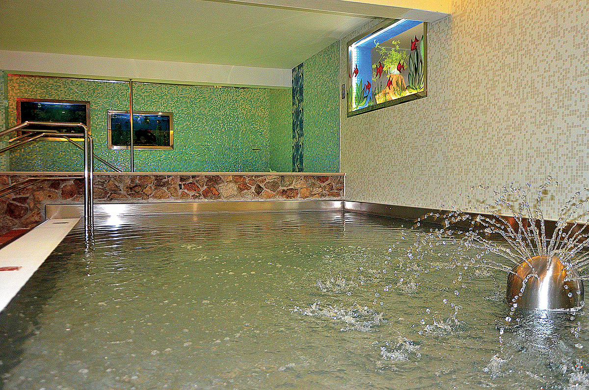 Wellness residence Družba - polopenze a wellness 22