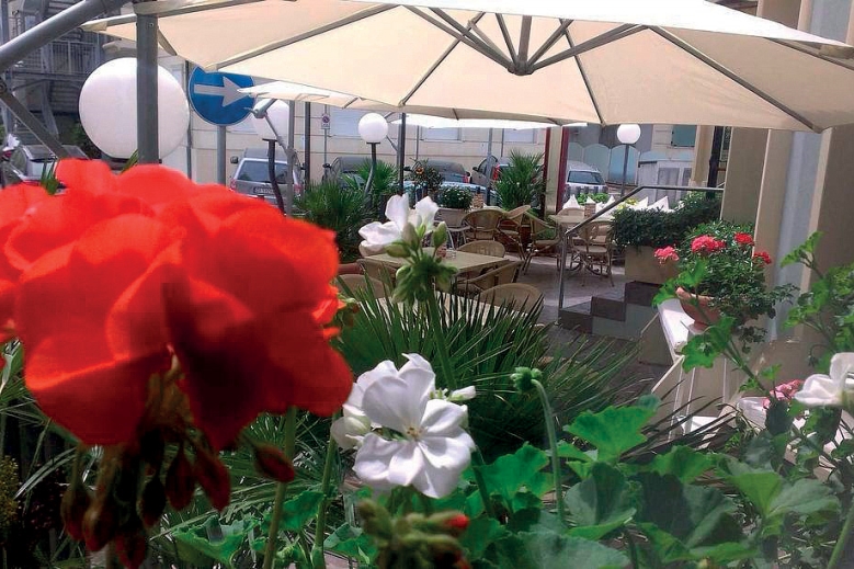 Hotel Hotel Arpa