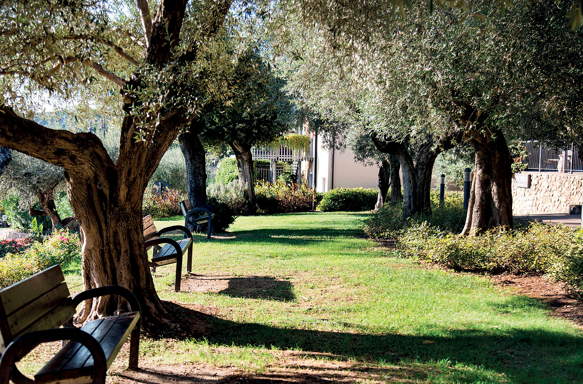 Hotel Villa Paradiso 10