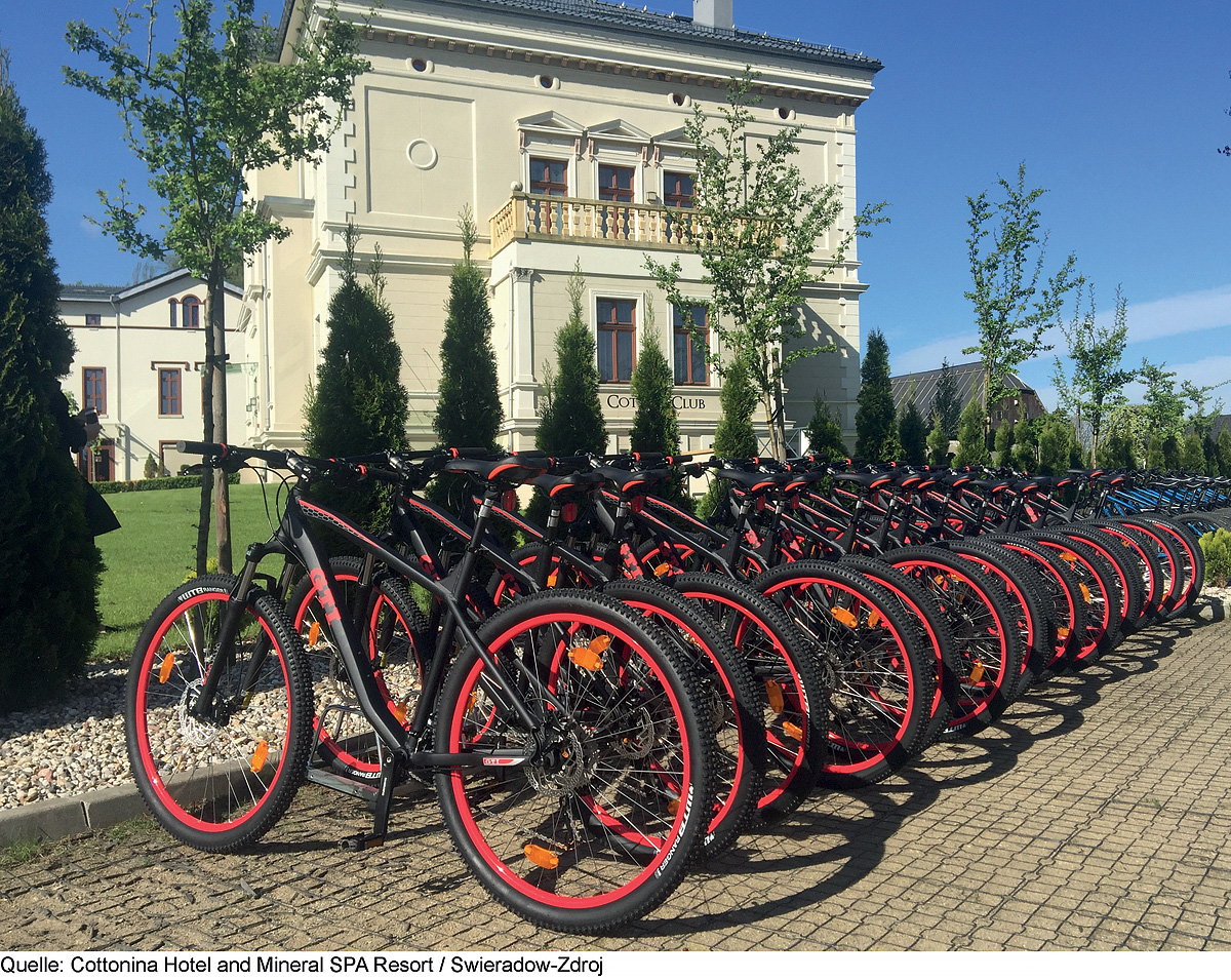 Cottonina Hotel & Mineral Spa Resort 6