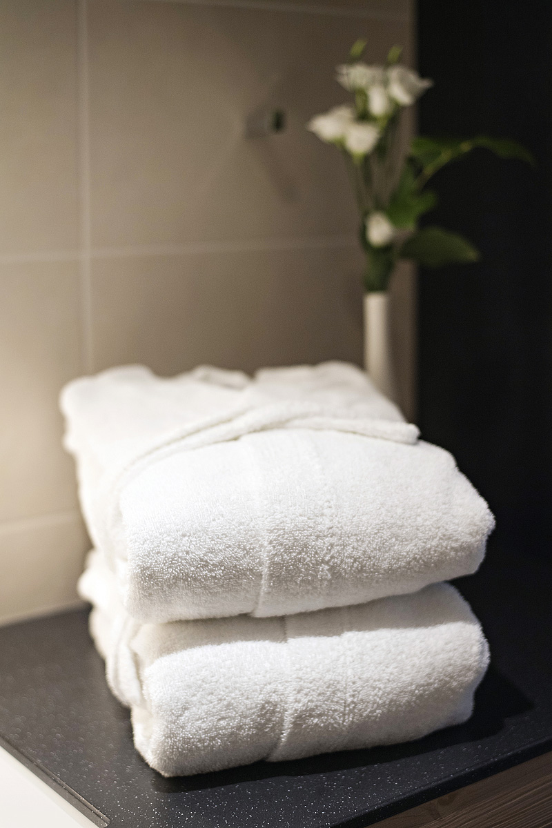 Hotel Rikli Balance Bled 31