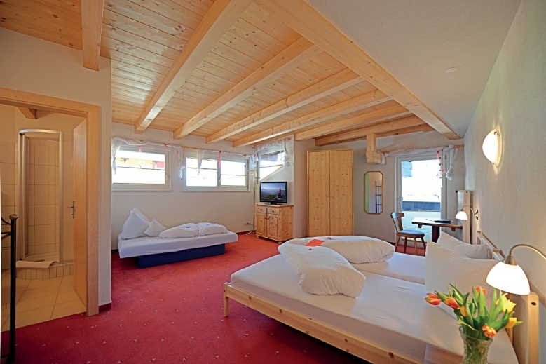 Hotel Gasthof Traube